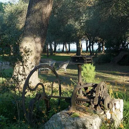 Joli Mas Au Bord De L'etang De Thau Holiday home Marseillan (Herault)