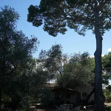 Joli Mas Au Bord De L'etang De Thau Marseillan (Herault)
