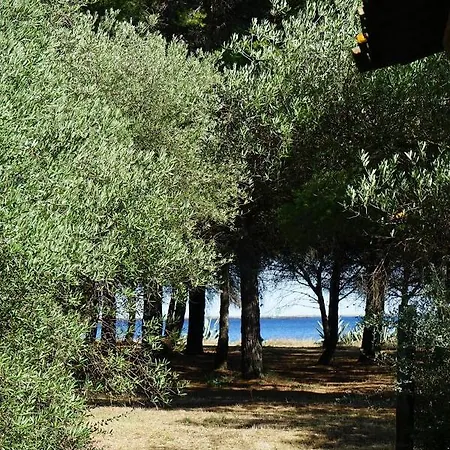 Holiday home Joli Mas Au Bord De L'etang De Thau Marseillan (Herault)