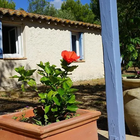 Joli Mas Au Bord De L'etang De Thau Marseillan (Herault)