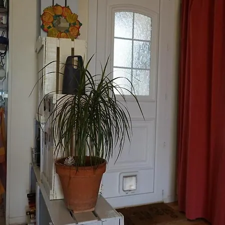 Holiday home Joli Mas Au Bord De L'etang De Thau Marseillan (Herault)