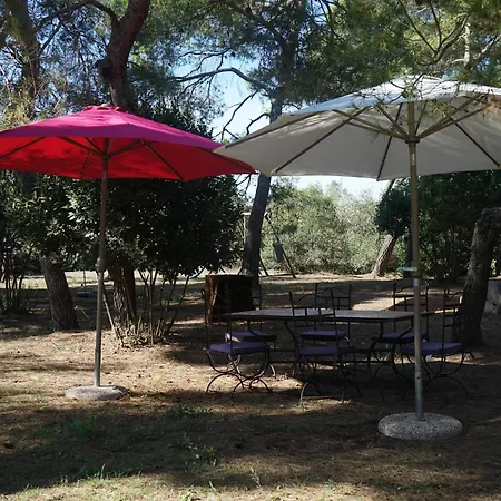 Joli Mas Au Bord De L'etang De Thau Holiday home Marseillan (Herault)